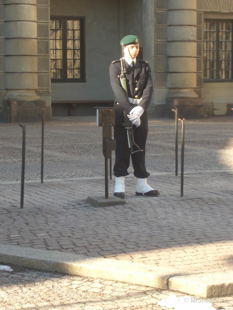 15-53 IMGP1783.JPG